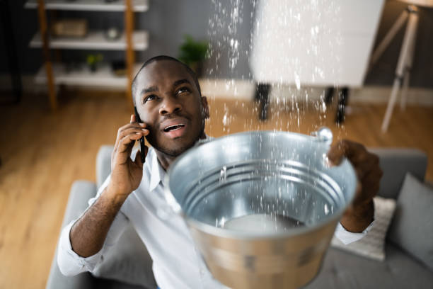 Best Professional water damage repair  in Indian Wells, CA