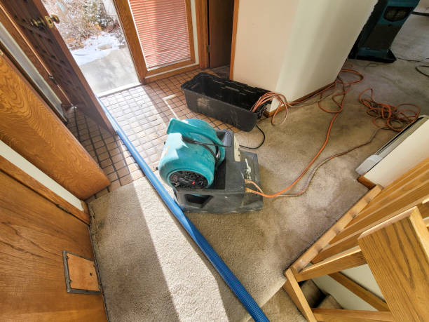 Best 24-hour water damage restoration  in Indian Wells, CA