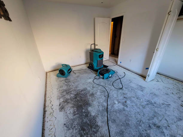 Best Water damage restoration mold remediation  in Indian Wells, CA