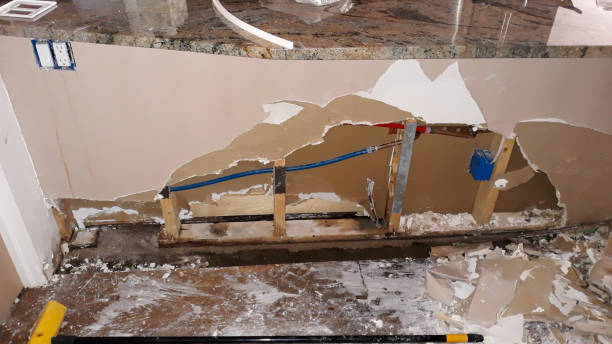 Best Mold removal after water damage  in Indian Wells, CA