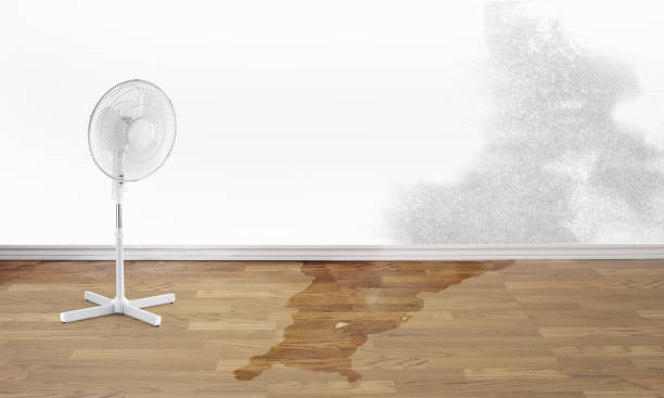 Best Flood damage cleanup  in Indian Wells, CA