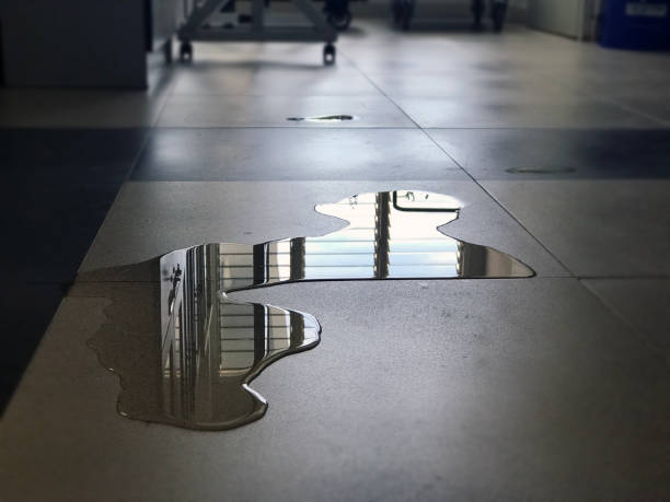 Best Carpet water damage restoration  in Indian Wells, CA