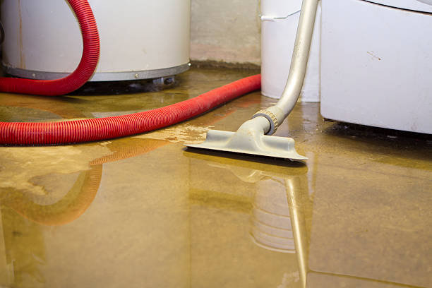 24/7 water damage repair in CA