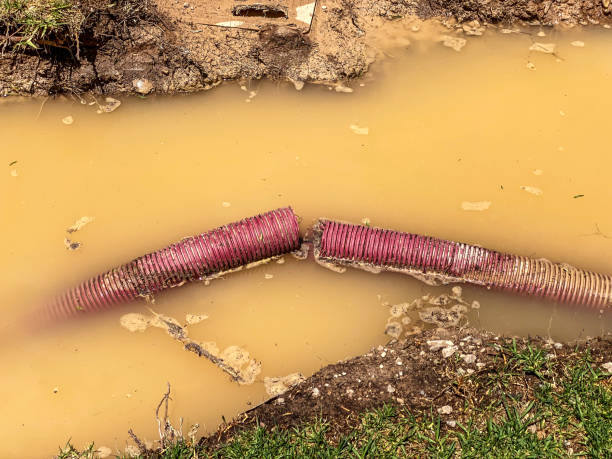 Best Sewage cleanup and water damage restoration  in Indian Wells, CA